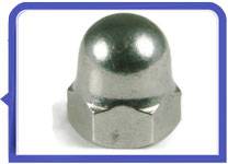 317L Stainless steel fasteners DIN1587 hex acorn nuts 317L