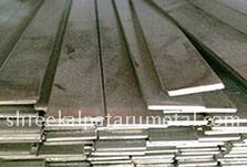 Stainless Steel Flat 304 Manufacturers in Delhi