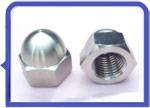 Stainless Steel 317L Cap Nut