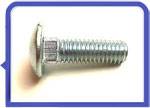 Stainless Steel 317L Carriage Bolt