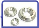 Stainless Steel 317L Countersunk Washer