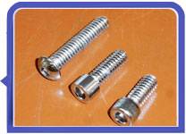 Stainless Steel 317L Fasteners Chrome Plating