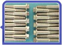 Stainless Steel 317L Fasteners Passivation