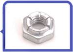 Stainless Steel 317L Flex Lock Nut
