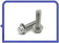 M12 Stainless steel hex flange bolt