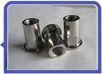 Stainless Steel 317L Inserts