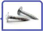 Stainless Steel 317L Self Tapping Screw