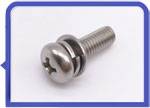 Stainless Steel 317L Sems Screw