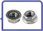 Stainless Steel 317L Serrated Flange Nut
