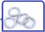 Stainless Steel 317L Spring Washers