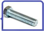 Stainless Steel 317L Tap Bolt
