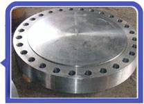 317L Stainless Steel Blind (BL) Flanges