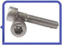 317L 1.4438 cap screw & hex bolts