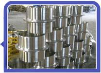 Stainless Steel 317L Stub Ends
