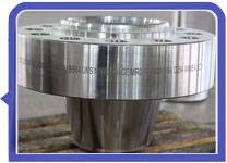 A182 317L WN flange