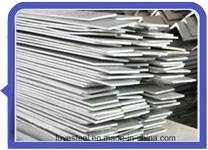 ASTM A276 317L stainless steel flats