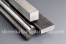 Stainless Steel 304 Flat Manufacturer in Delhi