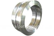 Stainless Steel 310 Rings Manufacturer in India