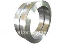 Stainless Steel 310 Rings Manufacturer in India Stainless Steel 310 Rings Manufacturer in India