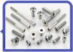 Stainless Steel 317L Cap Screws