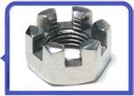 Stainless Steel 317L Castle Nut