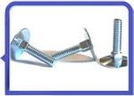 Stainless Steel 317L Elevator Bolt