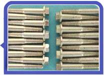 Stainless Steel 317L Screws Passivation