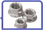 Stainless Steel 317L Flange Lock Nut