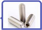 Stainless Steel 317L Grub Screw