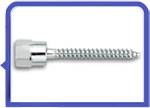 Stainless Steel 317L Hanger Bolt