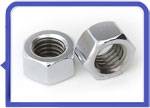 Stainless Steel 317L Hex Nuts