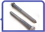 Stainless Steel 317L Lag Bolt