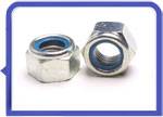 Stainless Steel 317L Nylon Lock Nut