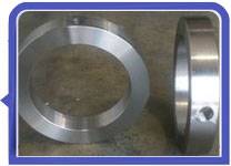 Stainless Steel 317L Ring