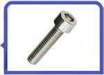 Stainless Steel 317L Socket Cap Screw