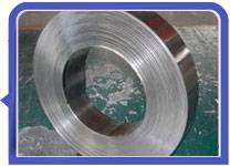 Stainless Steel 317L Strips