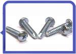 Stainless Steel 317L Thread Cutting Screw