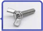 Stainless Steel 317L Thumb & Wing Screws