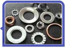 Stainless Steel 317L Washers