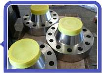 317L Stainless Steel Weld Neck Flanges(WN)